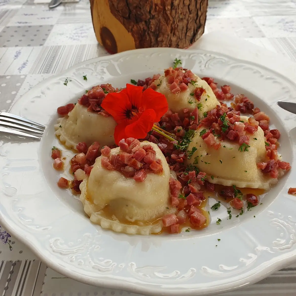 Highlight 12