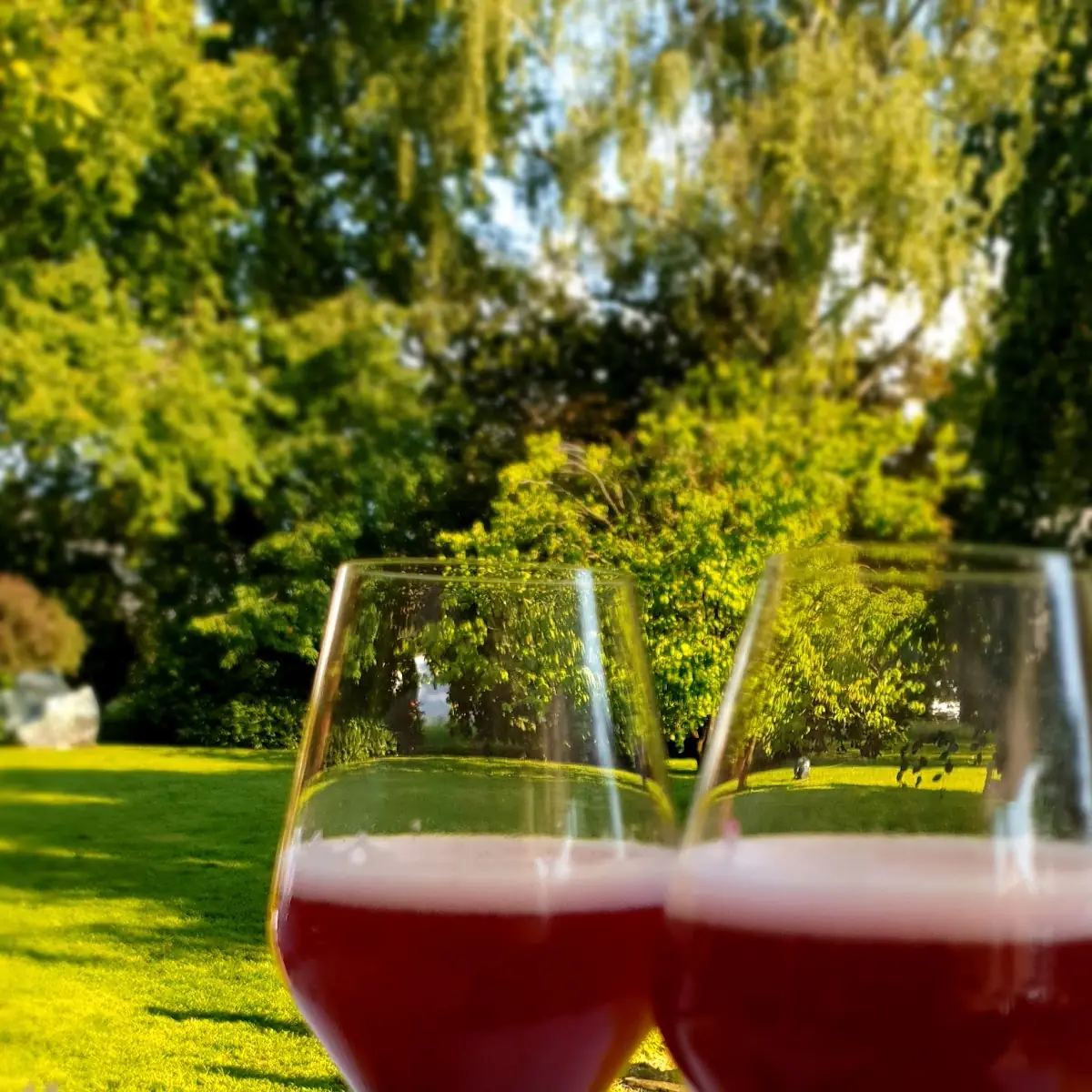 Beeren Aperitiv