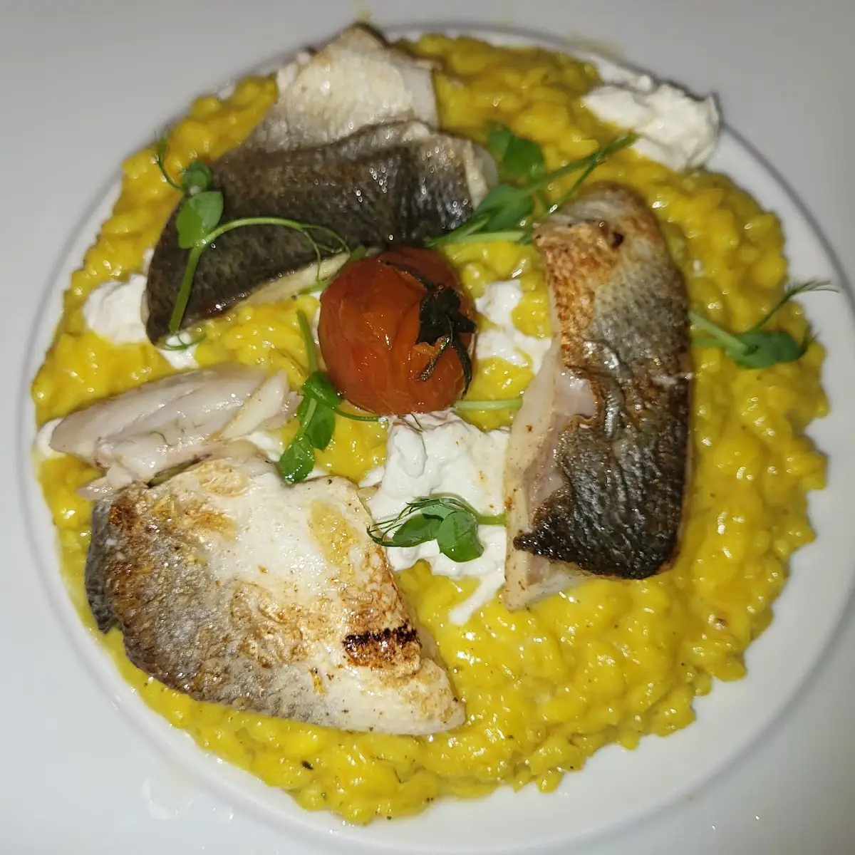Gebratener Wolfsbarsch Mit Safranrisotto