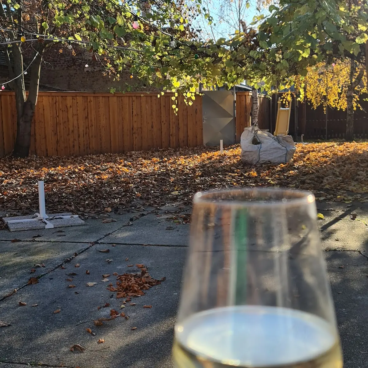 Spritzer