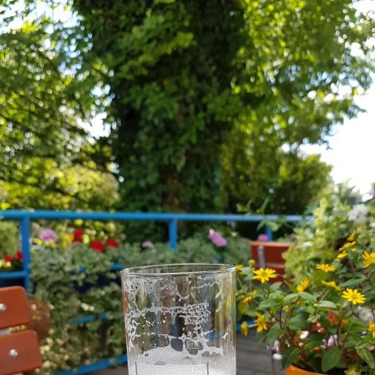 Pivo Zwettler