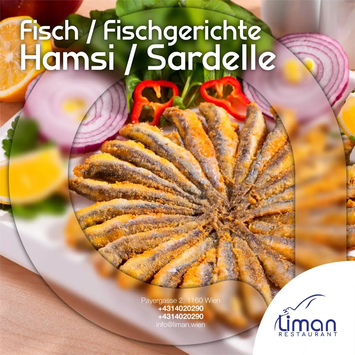 Hamsi
