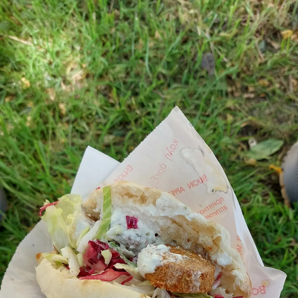 Falafel Sandwich