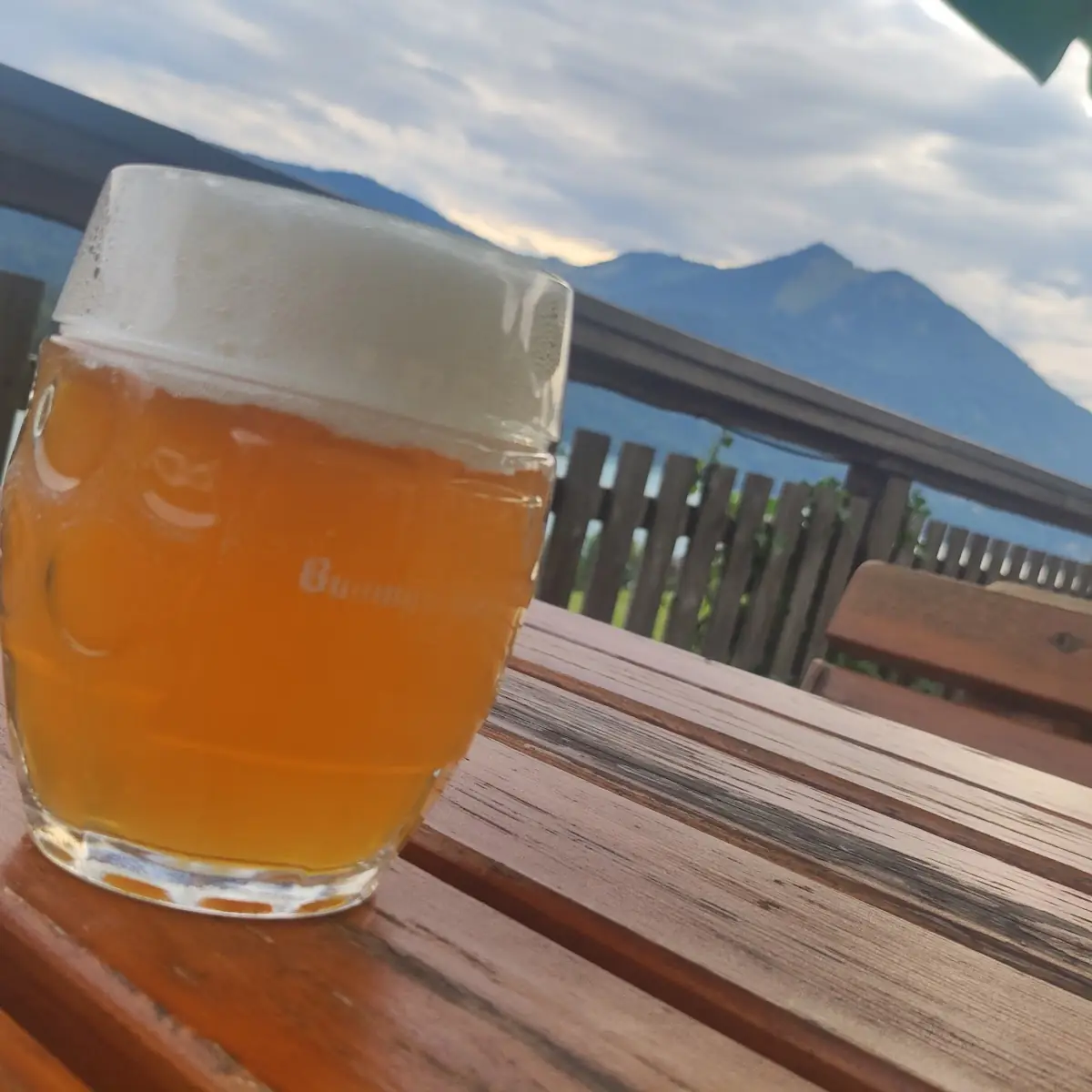 Zwickl Der Baumgartner Brauerei