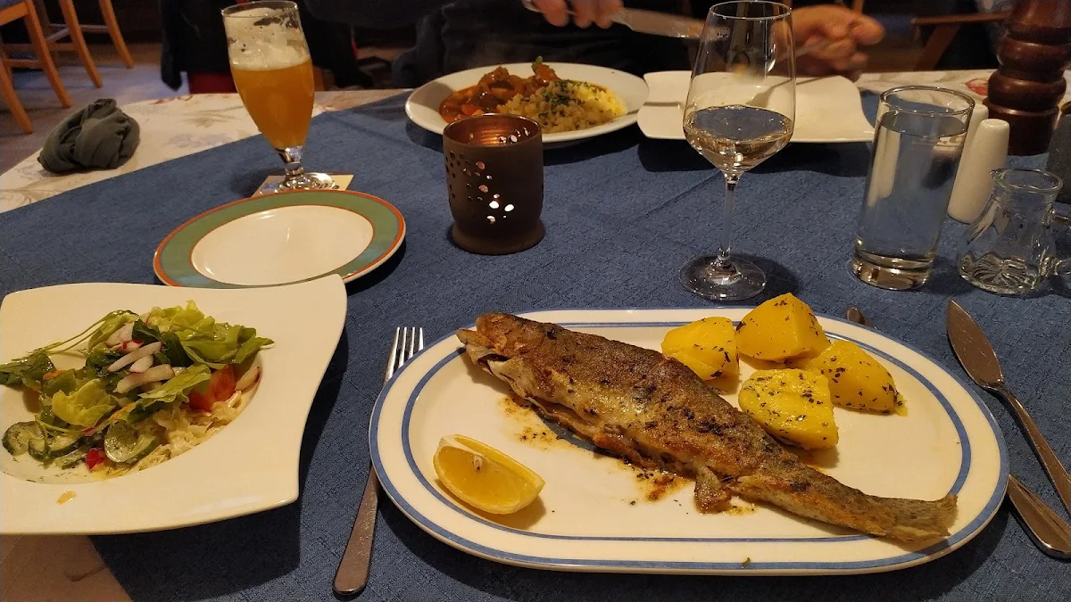 Forelle Trout