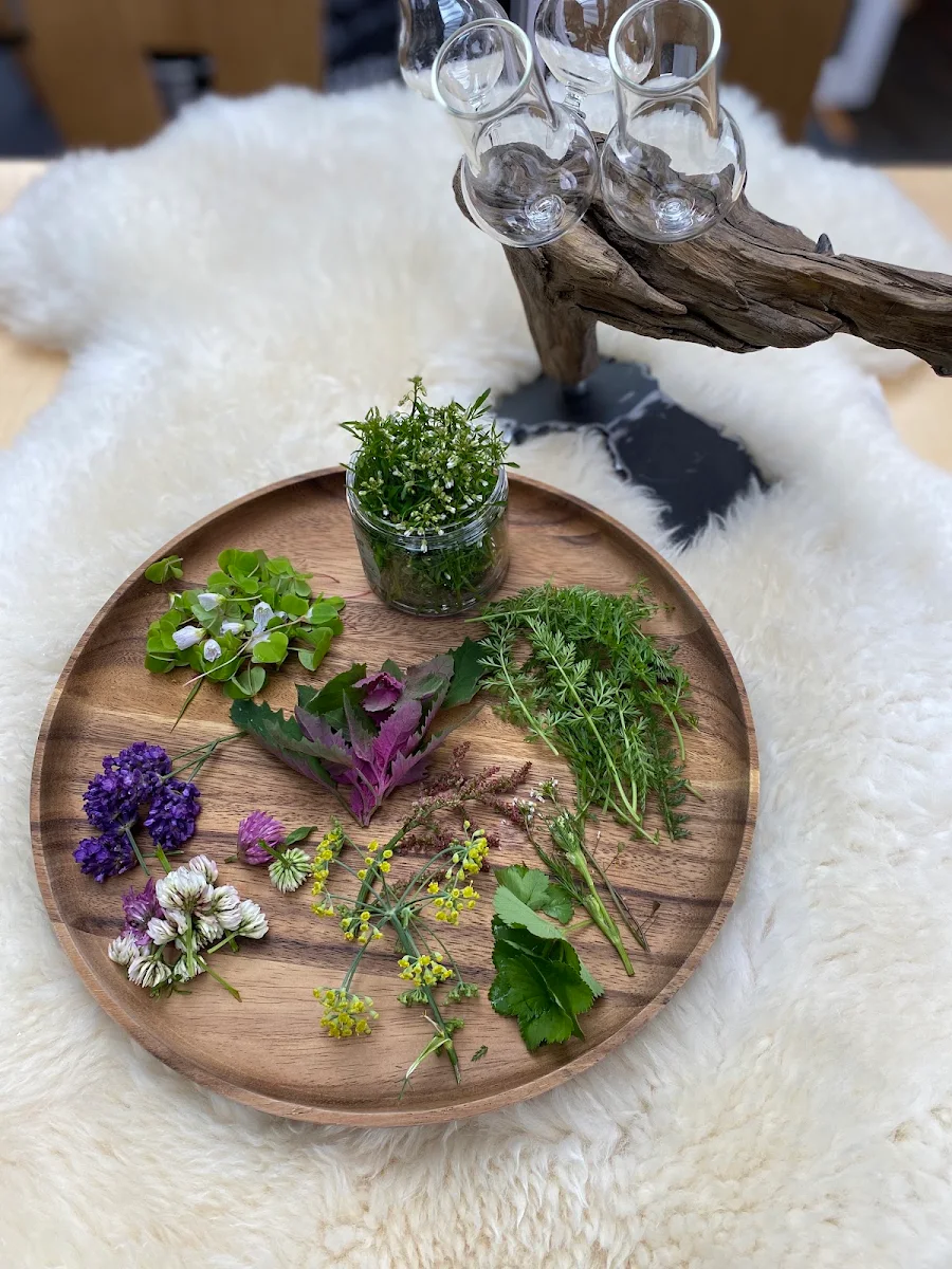 Wiesenkräuter