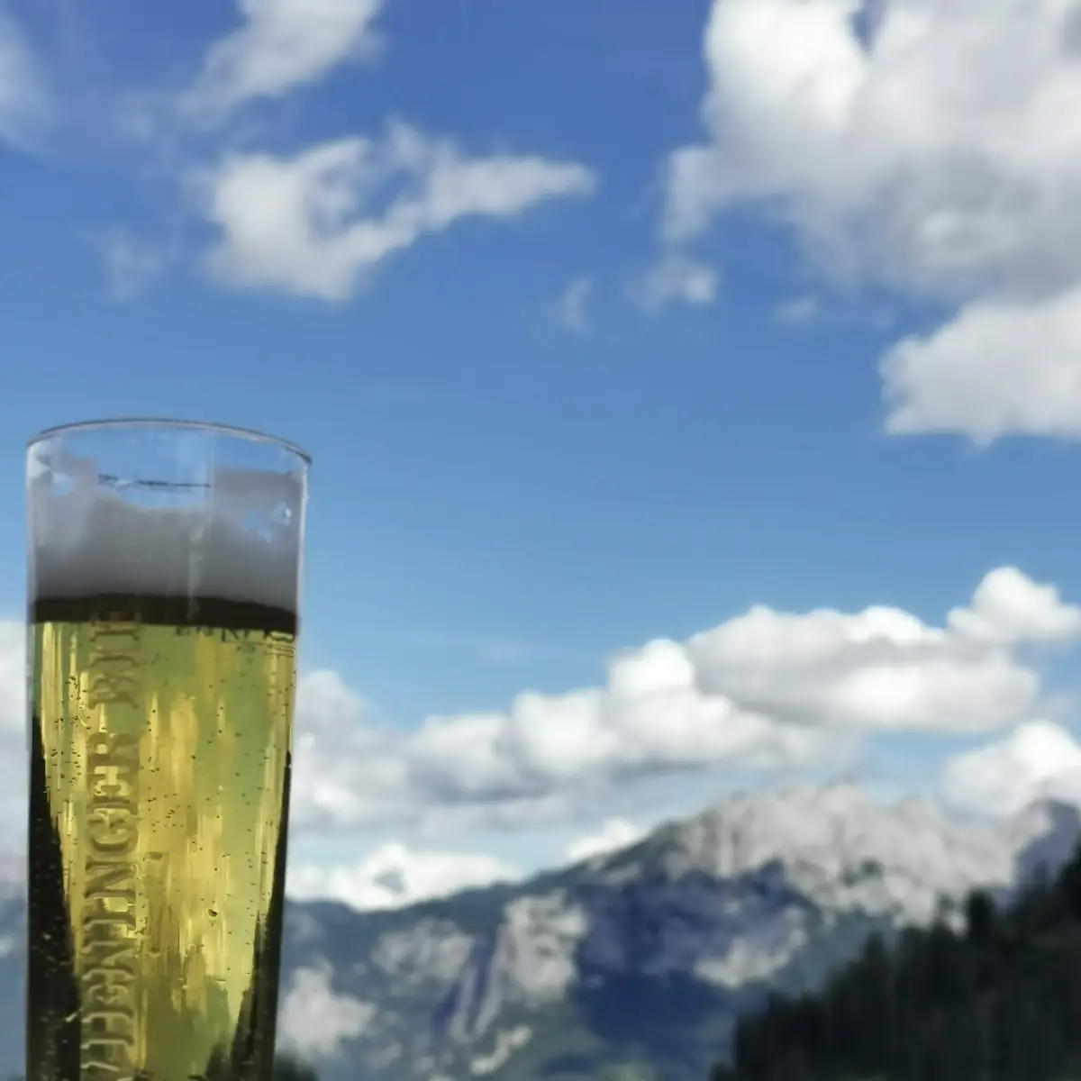 Weizen Zitrone