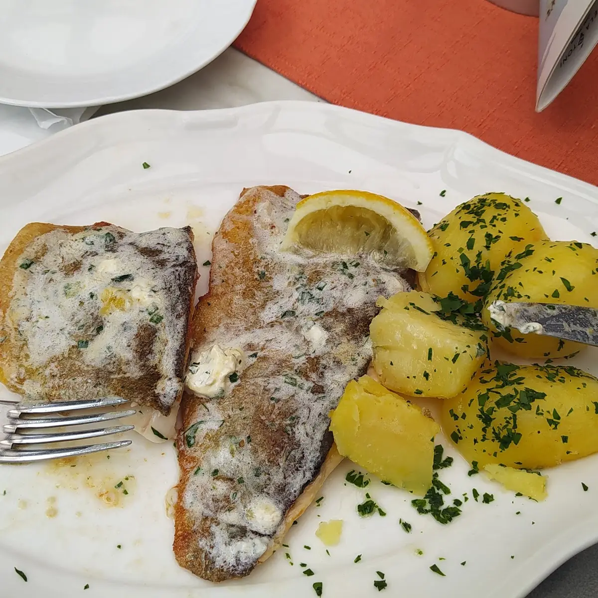 Gegrillte Forellenfilets