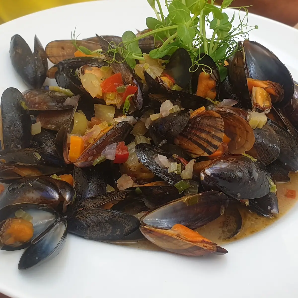 Miesmuscheln