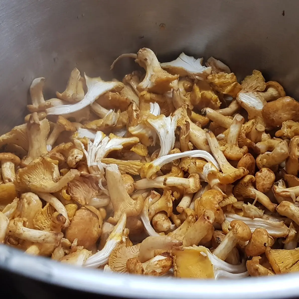 Frische Eierschwammerl