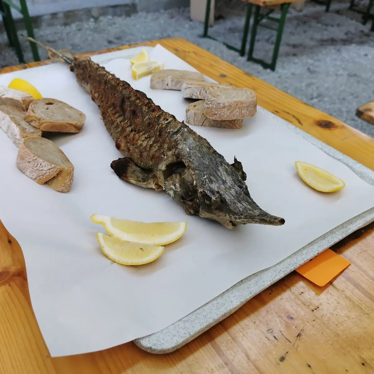Stör Gegrillt