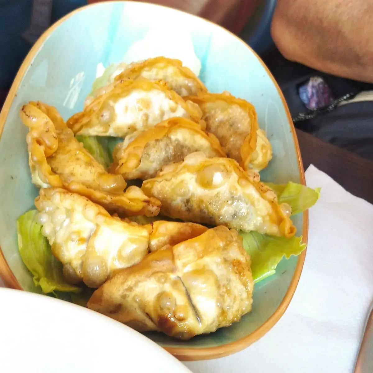 Gyoza Fritti