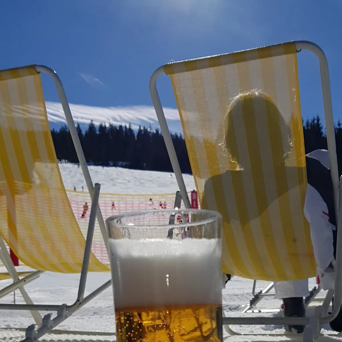 Stiegel Bier