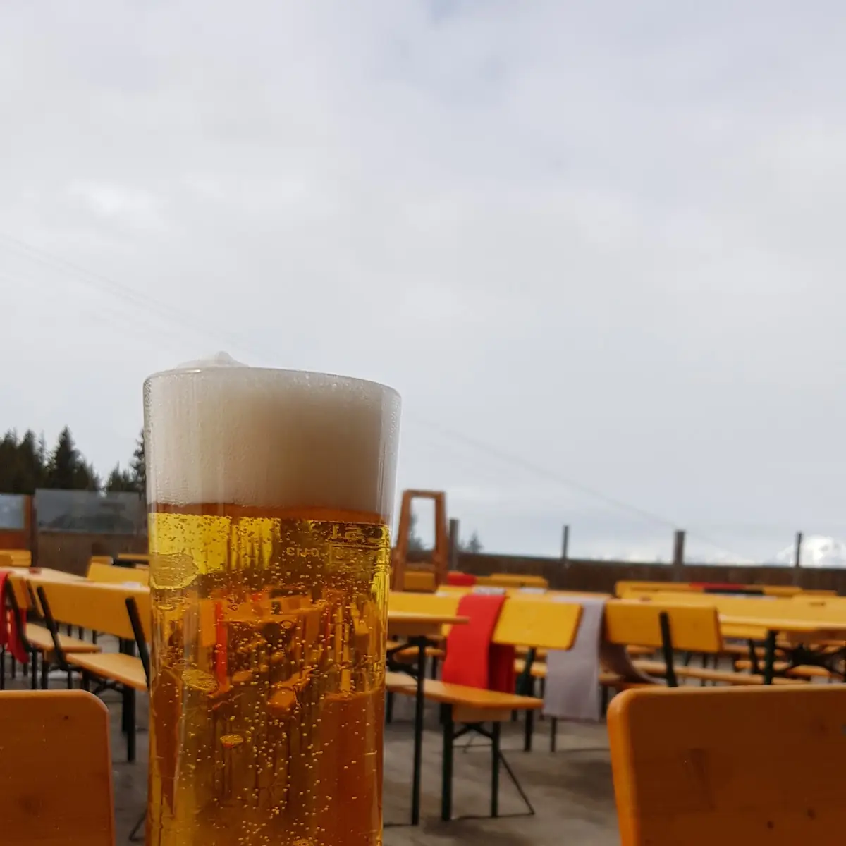 Pivo Almdudler