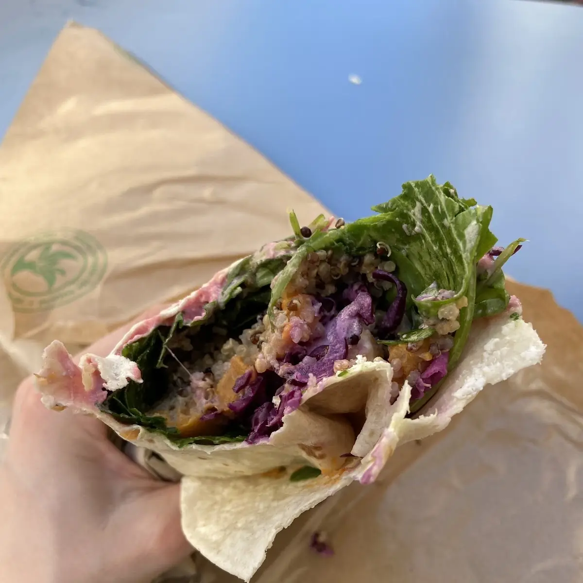 Vegan Avocado Wrap