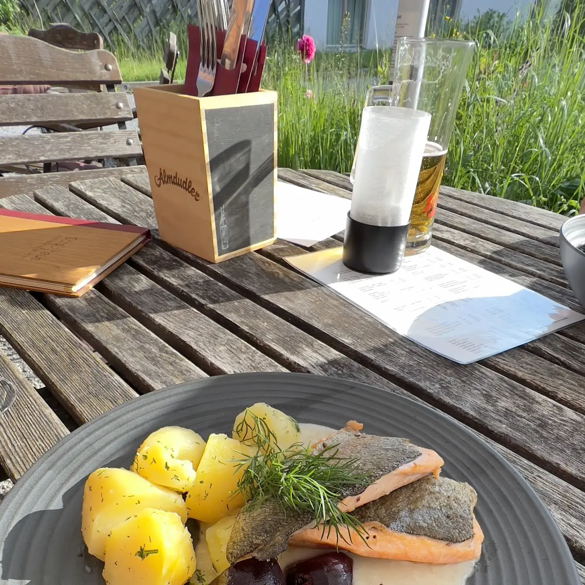 Salmon