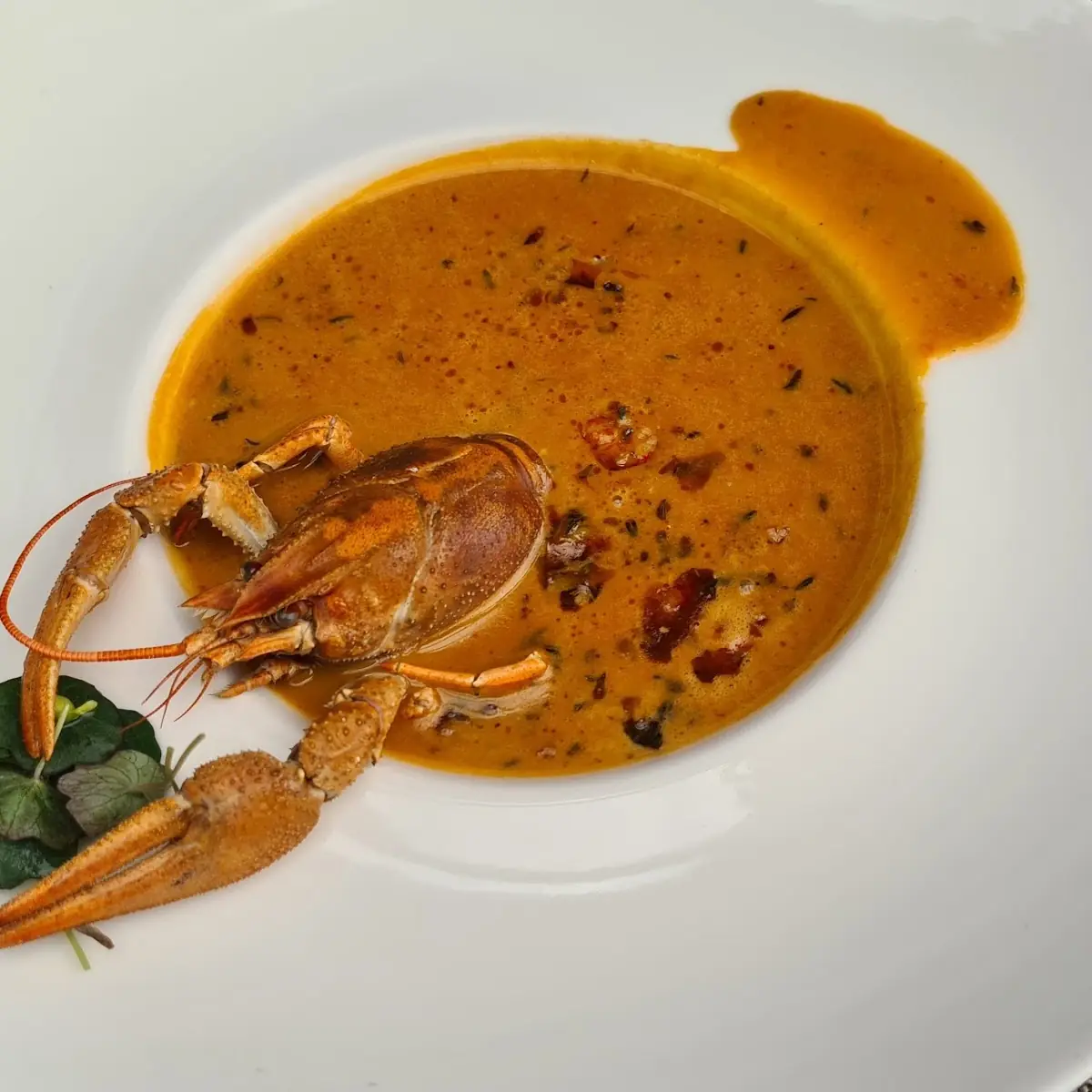 Flusskrebssuppe