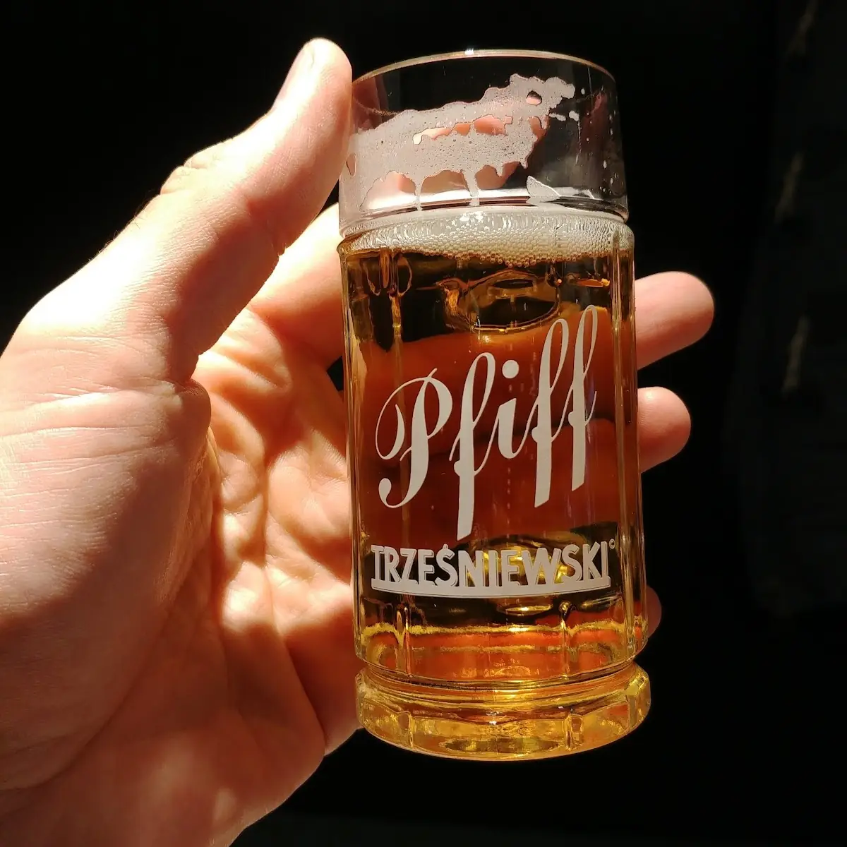 Bier