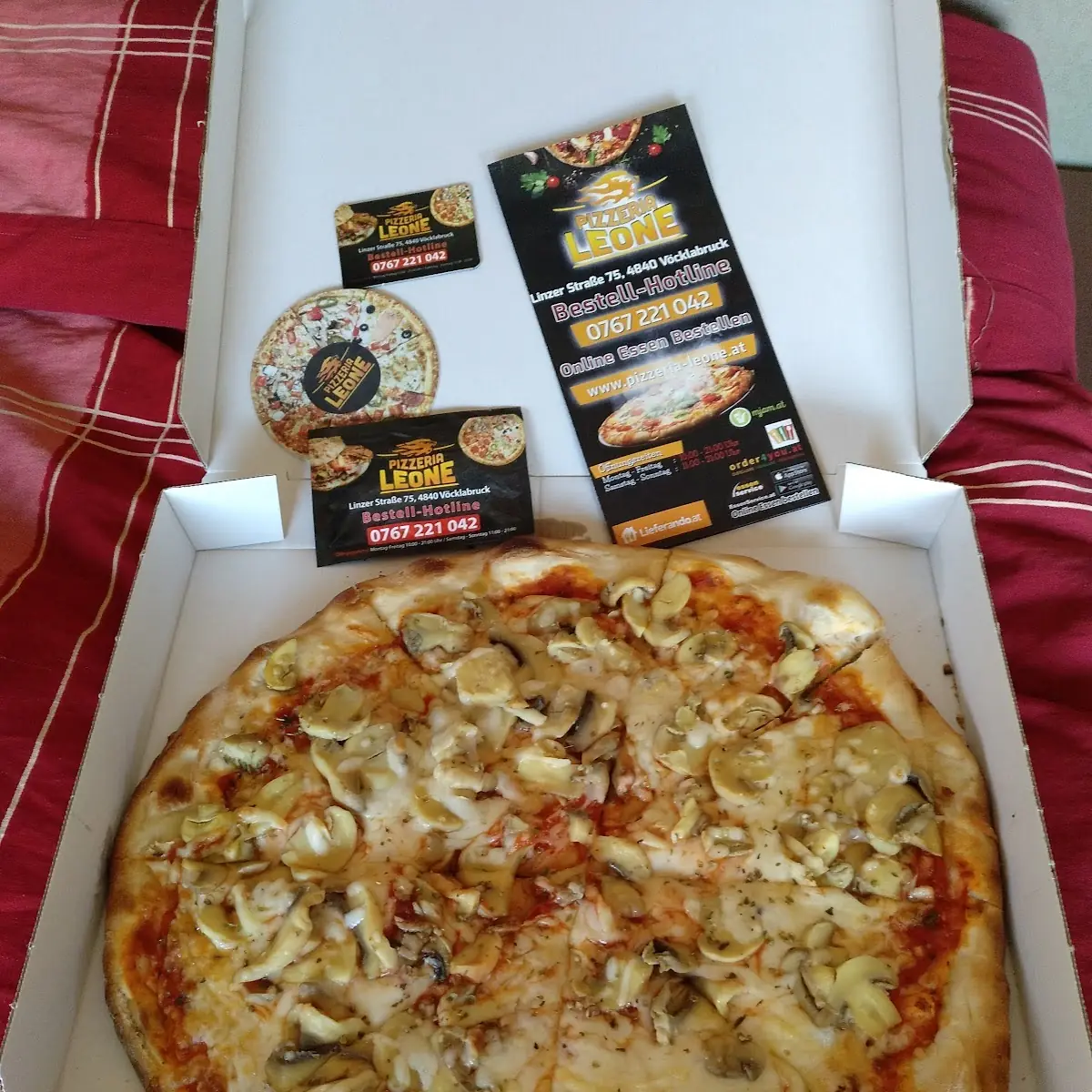Pizza Funghi