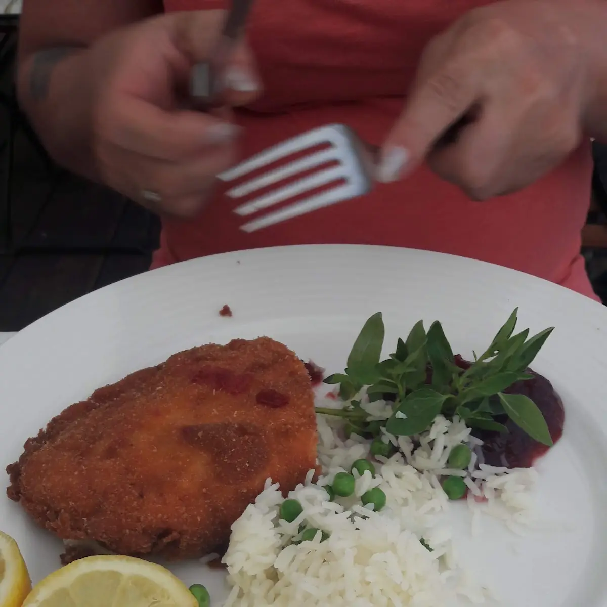 Wiener Schnitzel Mit Reis
