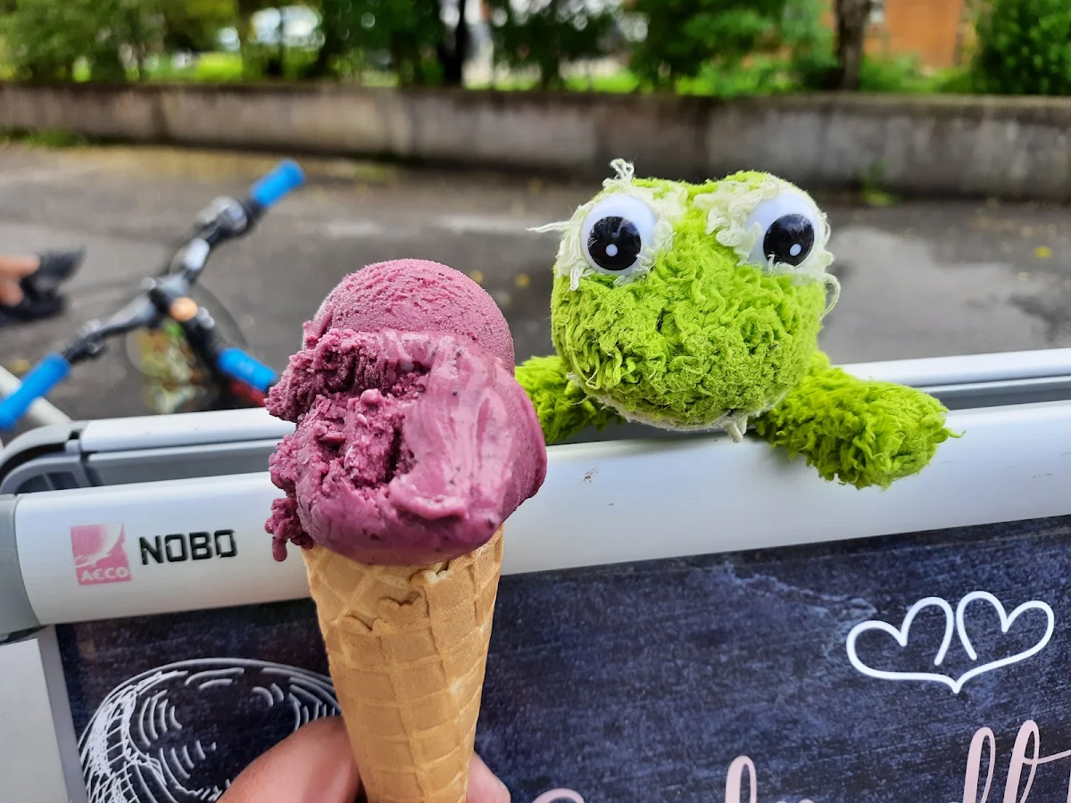 Joghurt Heidelbeere Eis