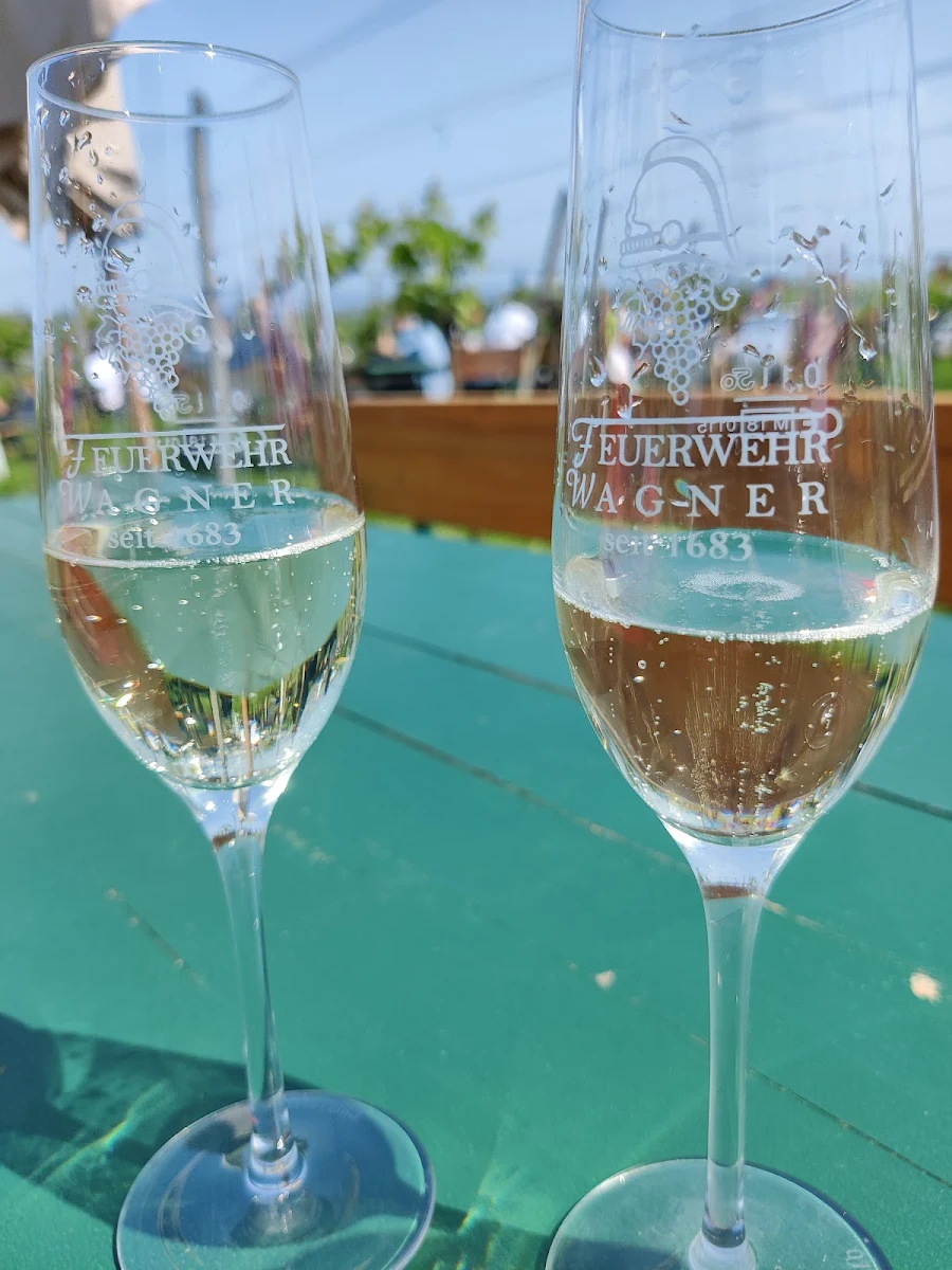 Grüner Veltliner Frizzante