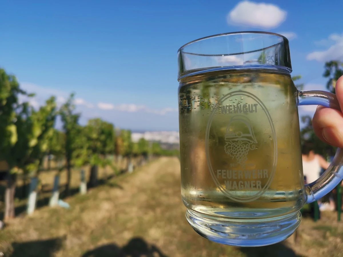 Wine