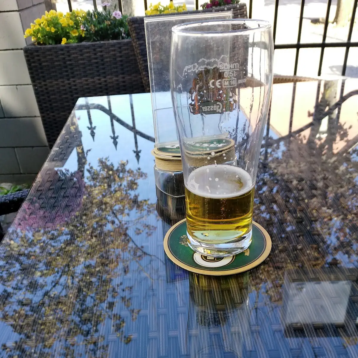 Bier