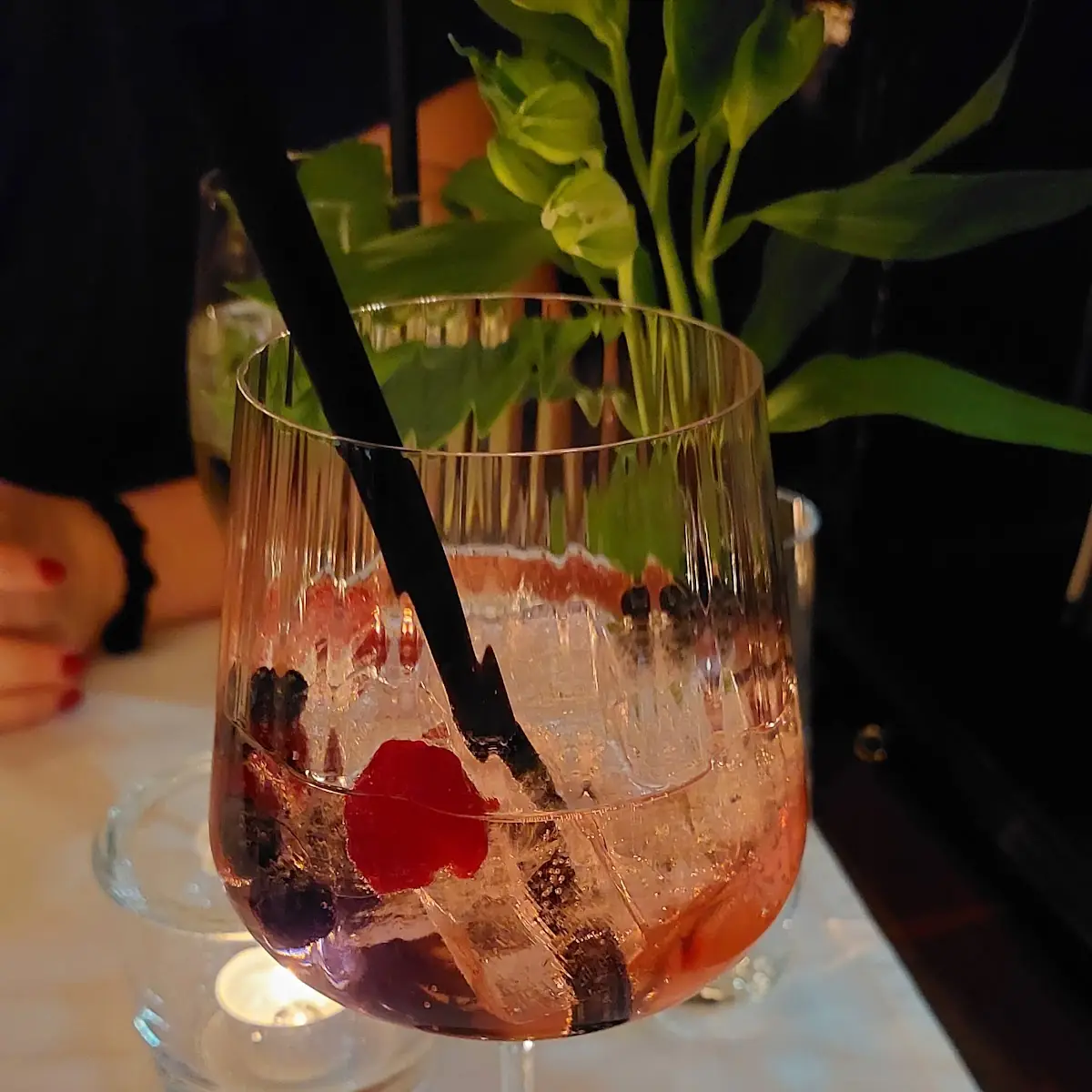 Wiener Gin Tonic