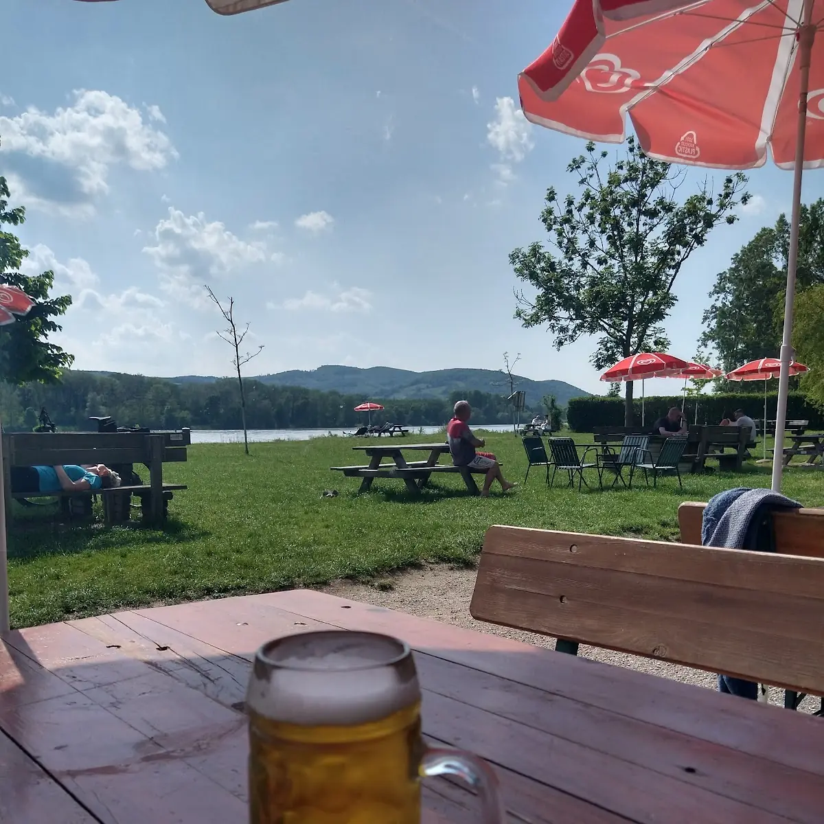Bier Mit Donaublick