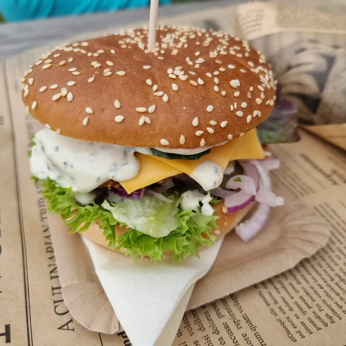 Donaublick Burger