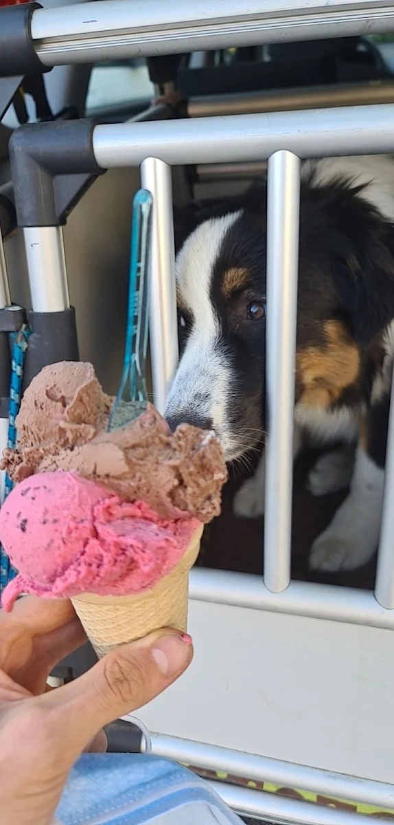 Schokoladen Und Waldbeer Eis