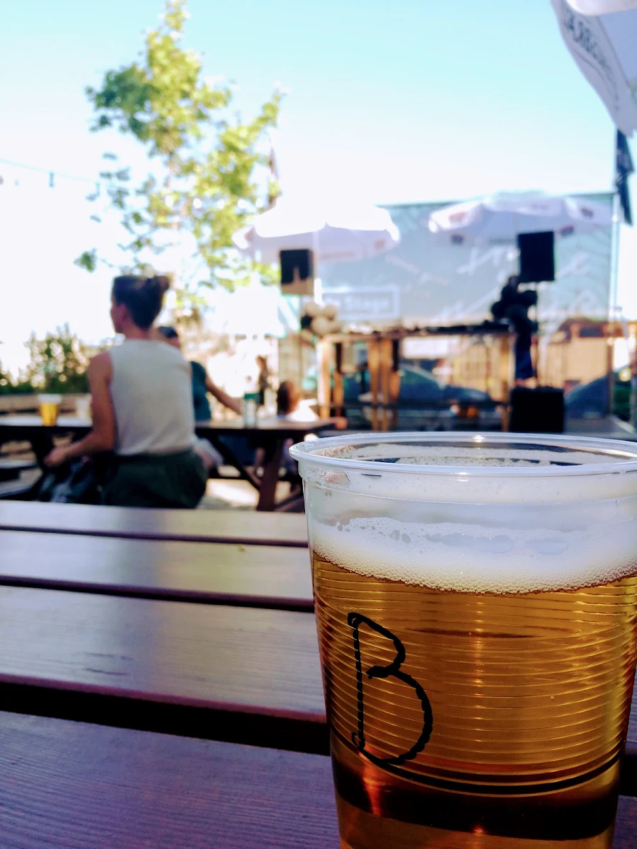 Bier