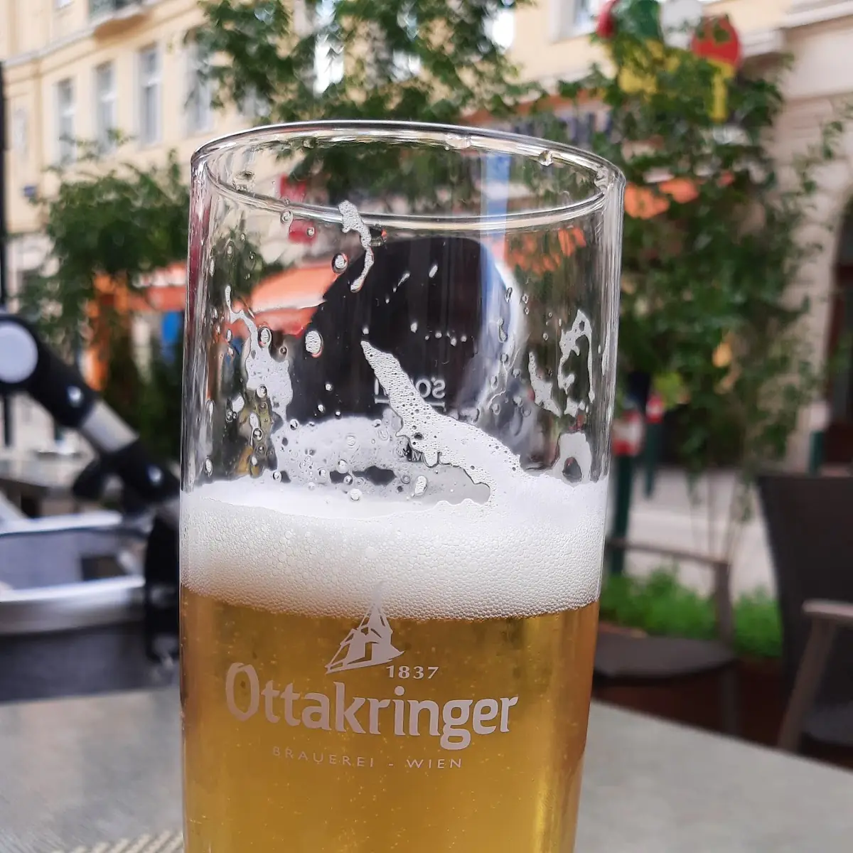 Bier