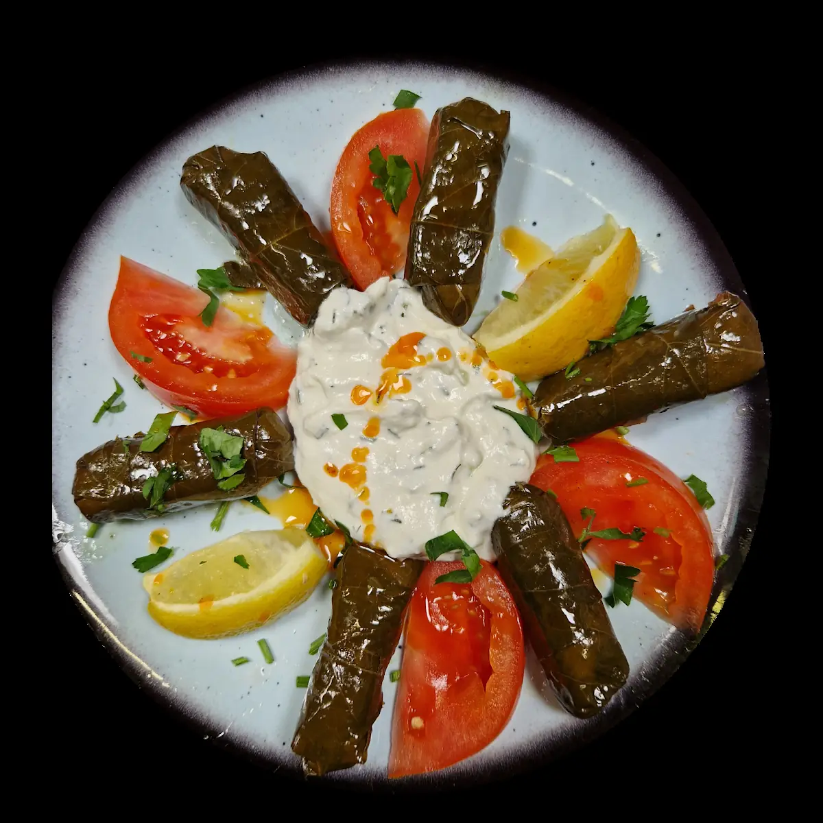 Yaprak Sarmasi