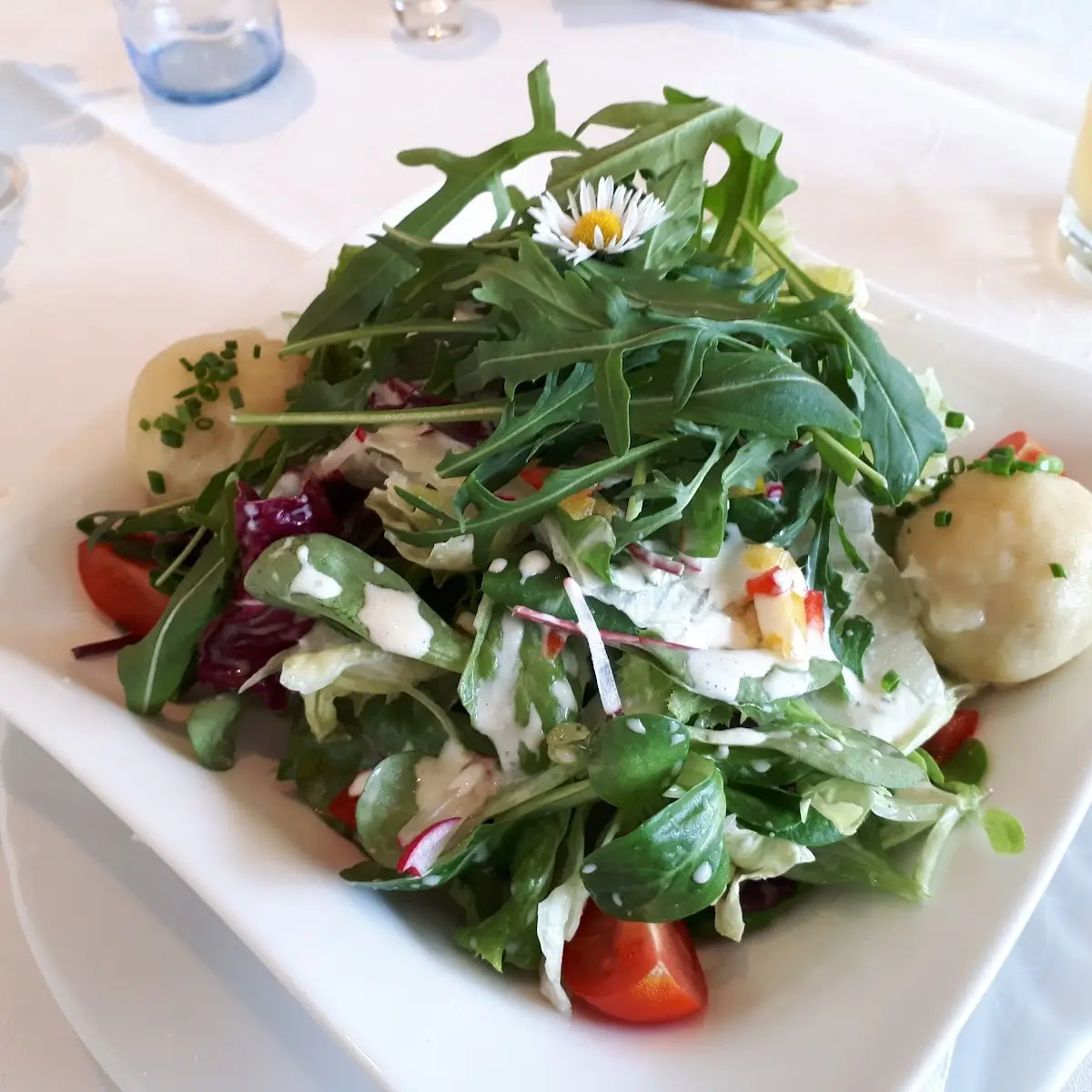 Frühlingssalat Mit Grammelknöderl