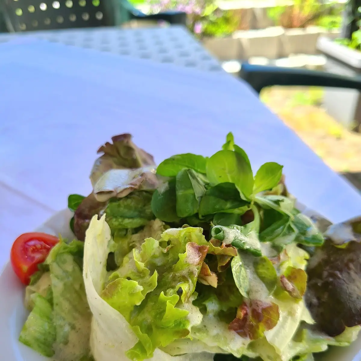 Side Salad