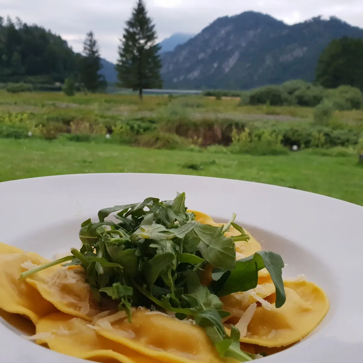 Steinpilz Tortellini