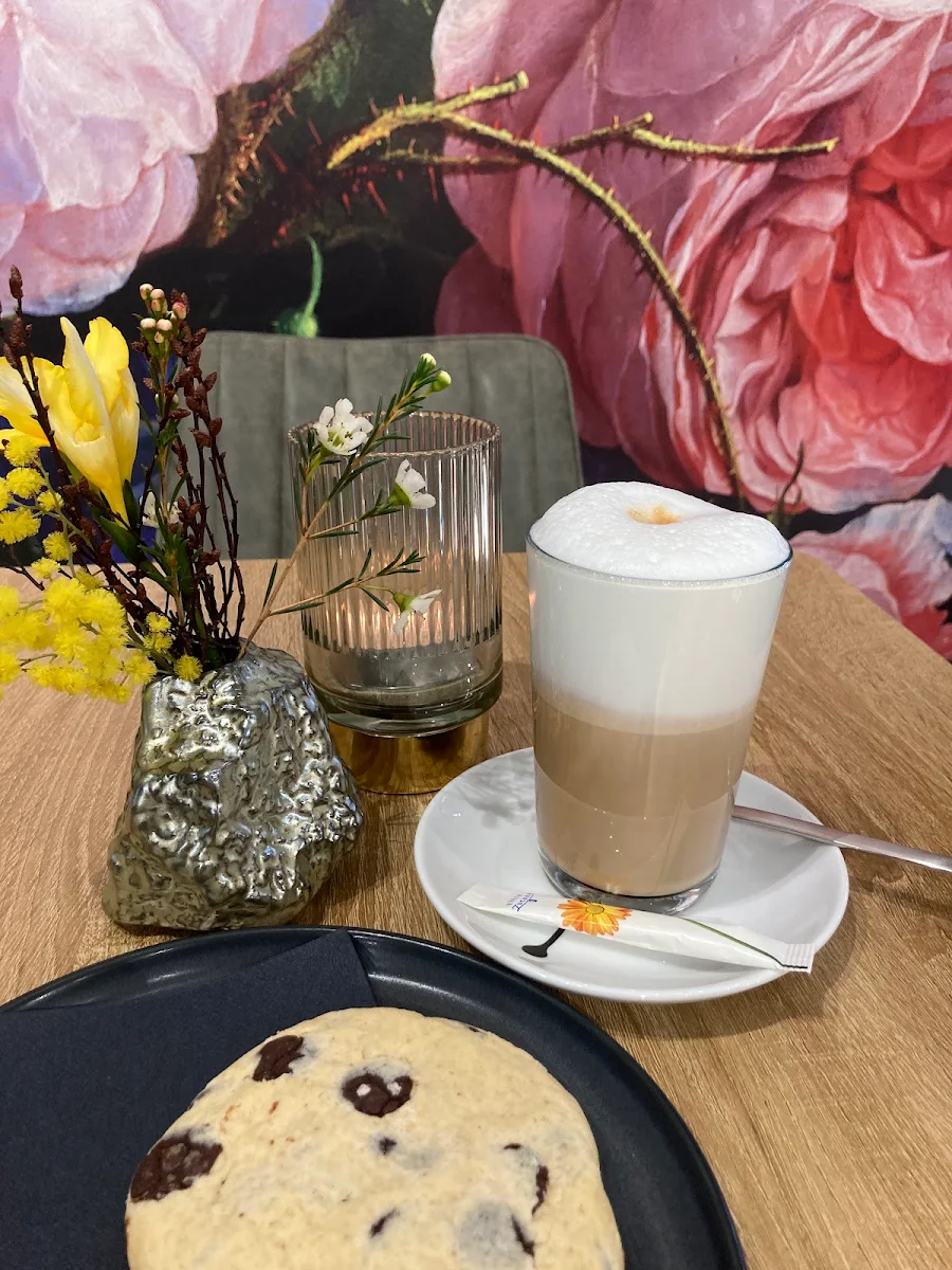 Highlight 7