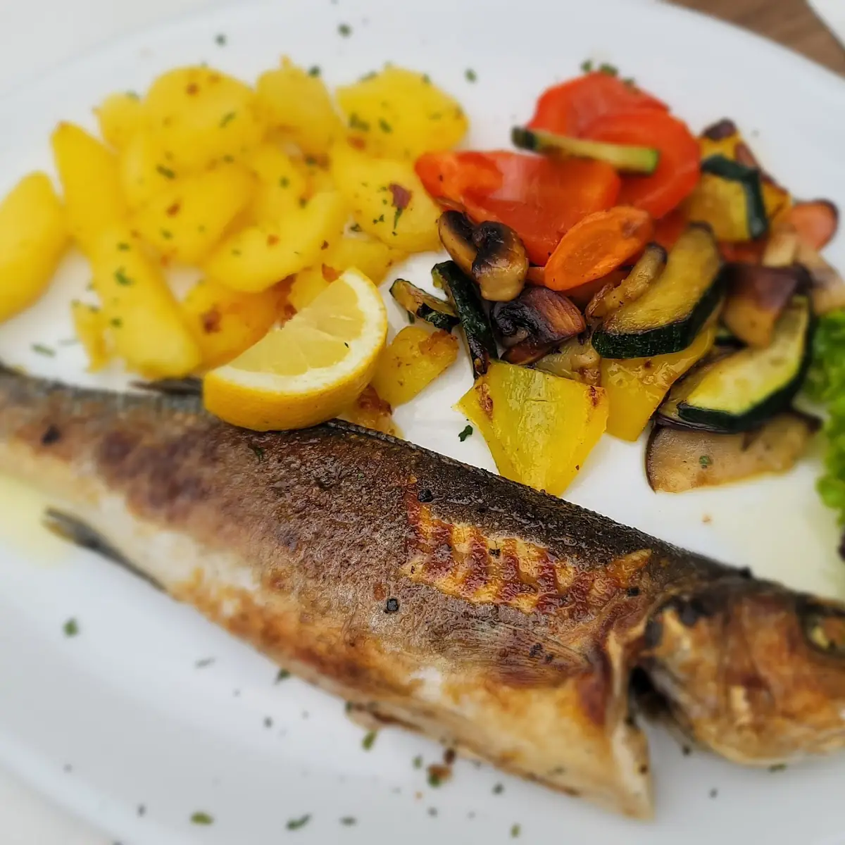 Branzino Fisch