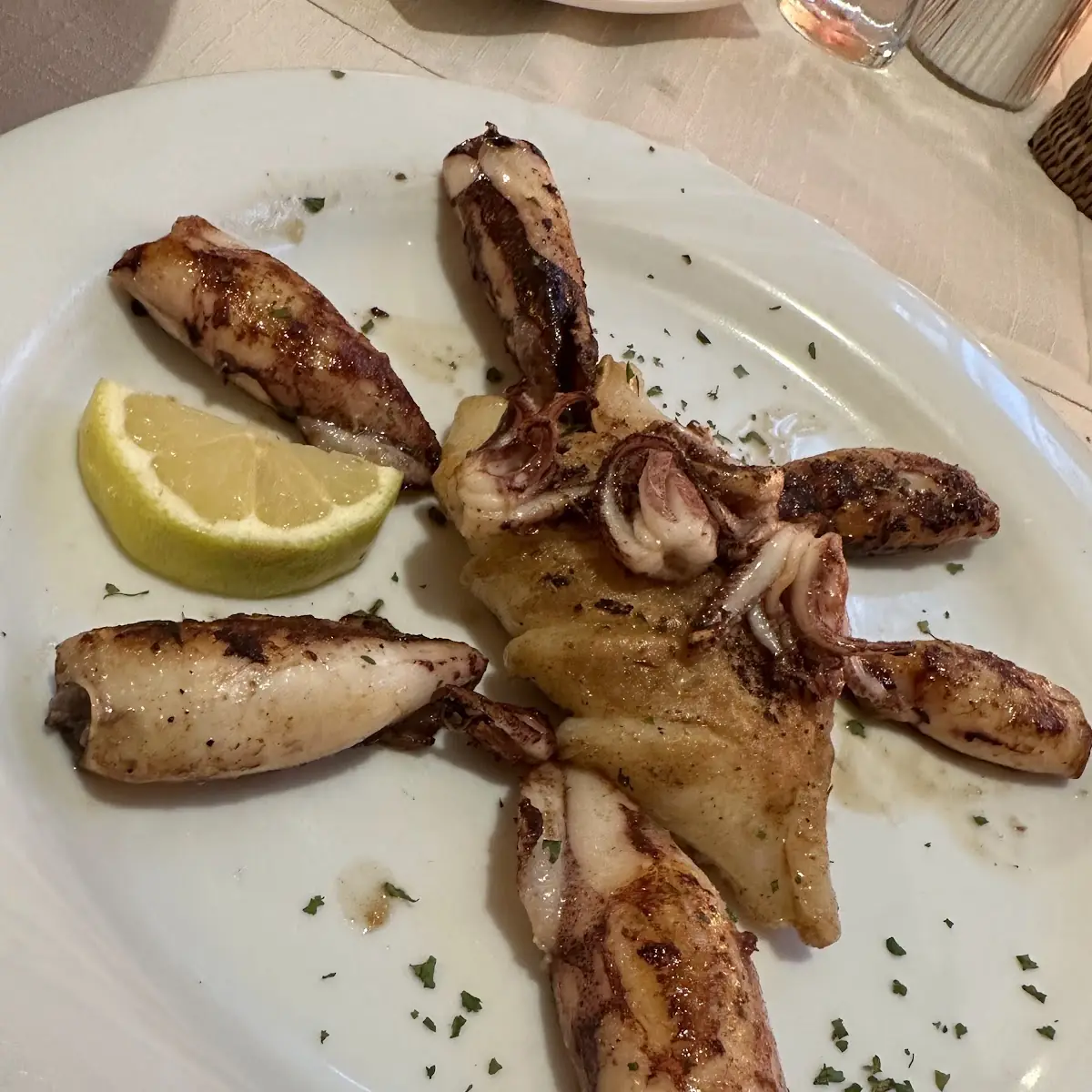 Calamari