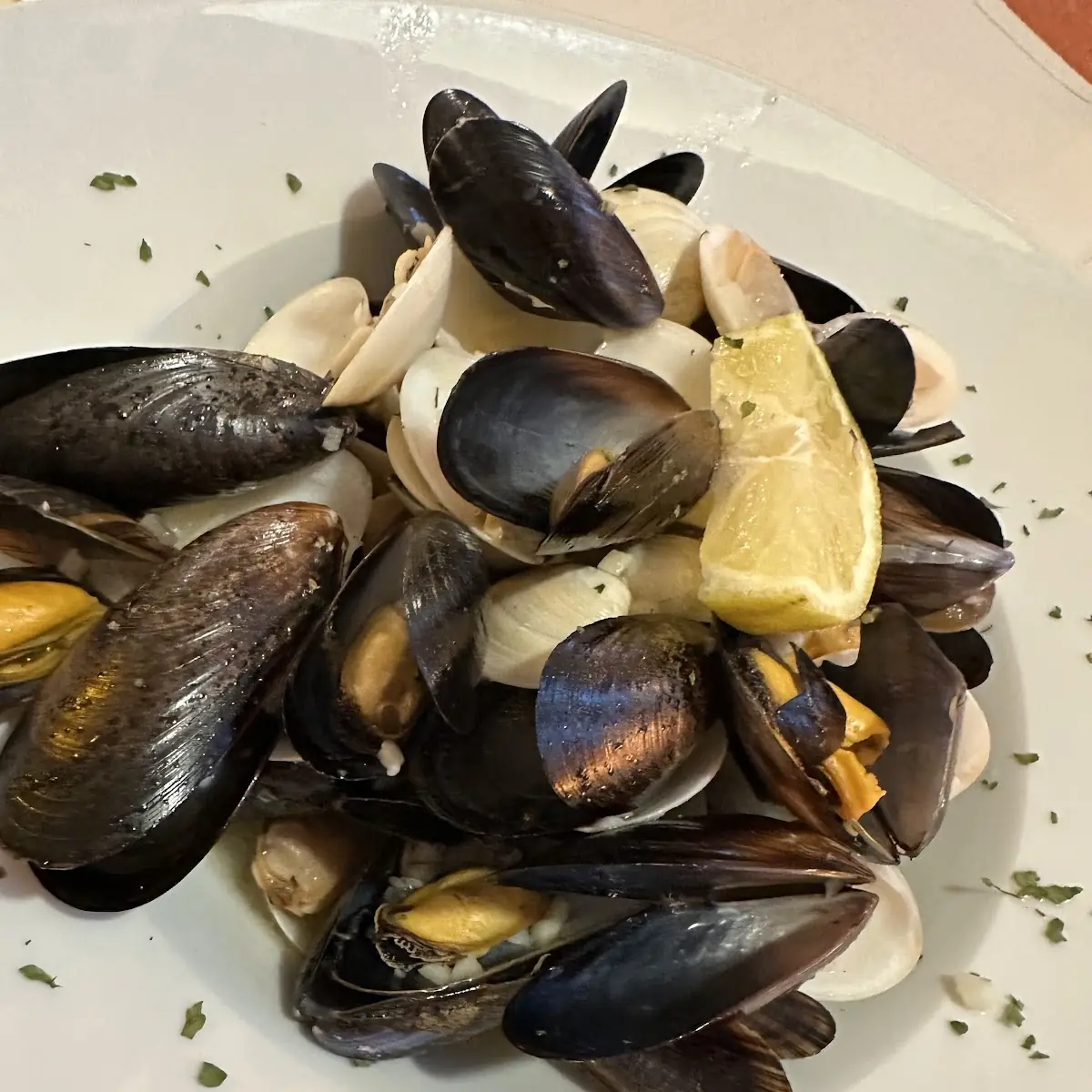 Cozze