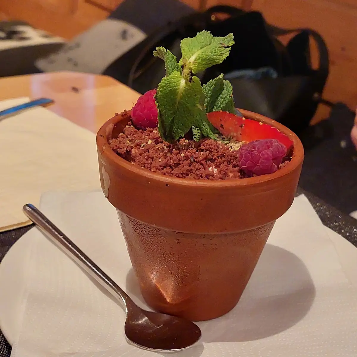 Schokomousse-blumentopf Mit Himbeerragout