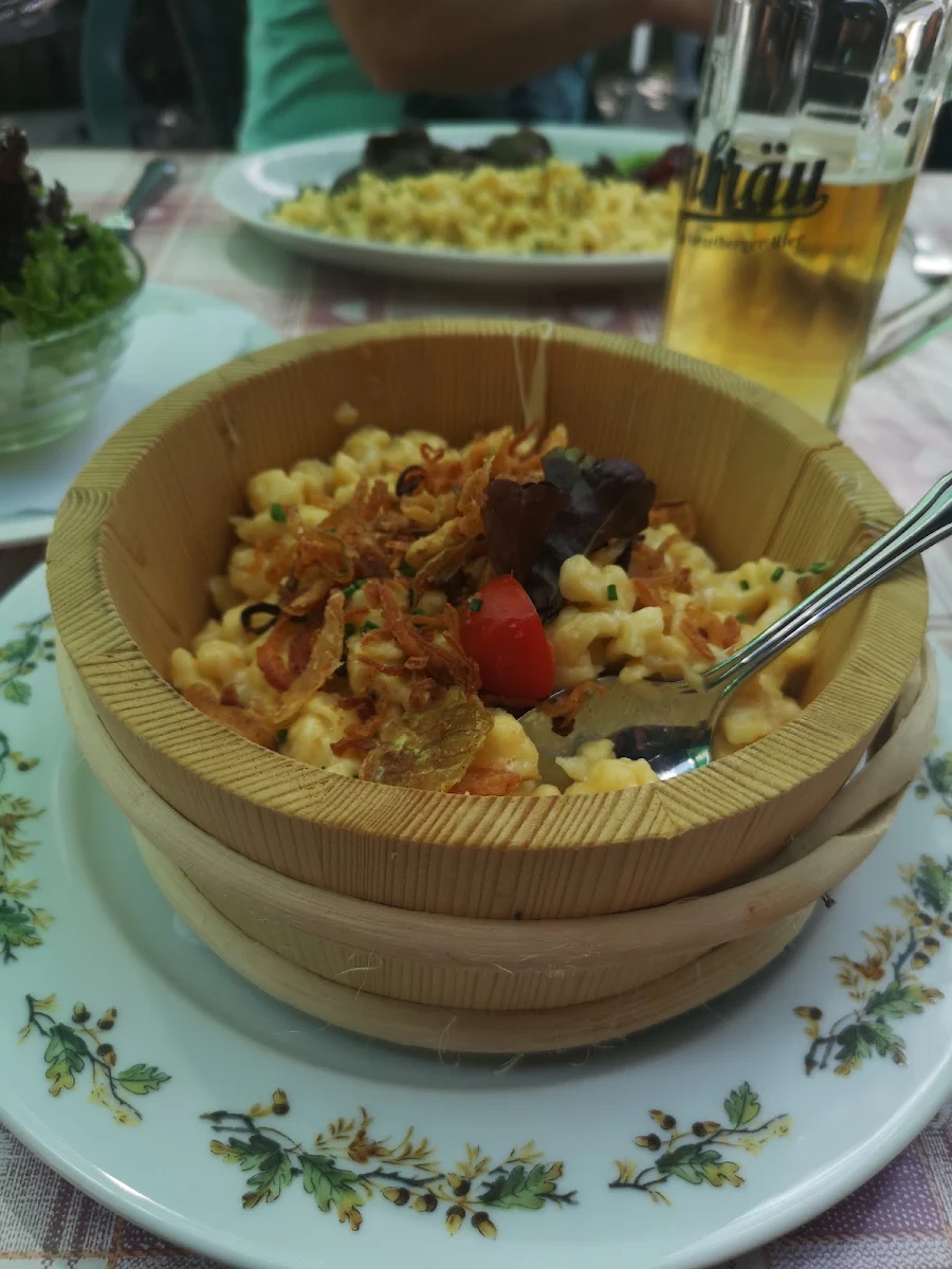 Zwiebeln Und Salat