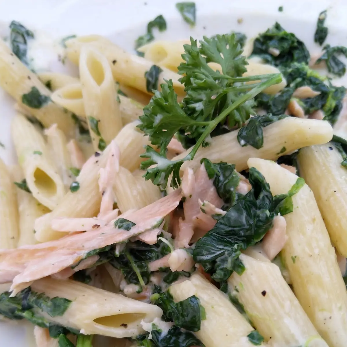 Pasta Mit Spinat Und Lachs