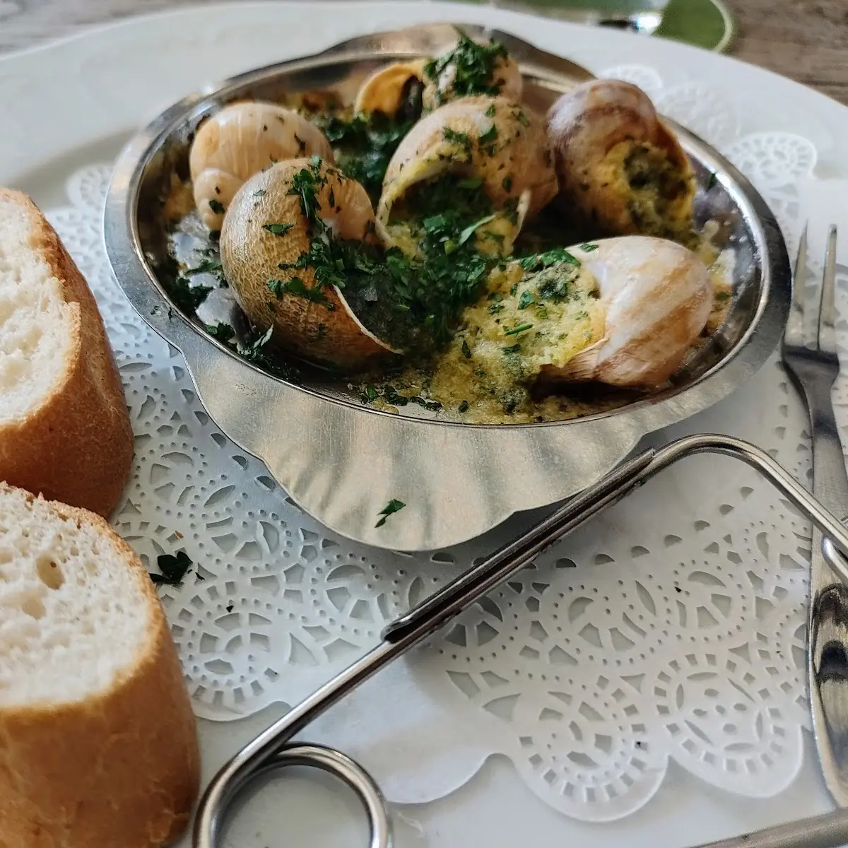 Weinbergschnecken