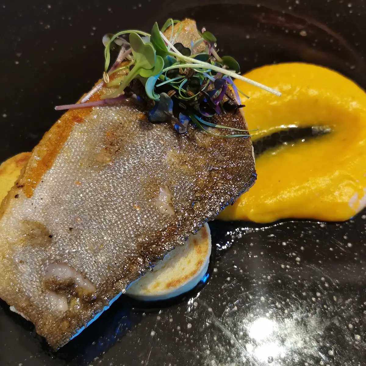 Saibling Mit Kürbisüree