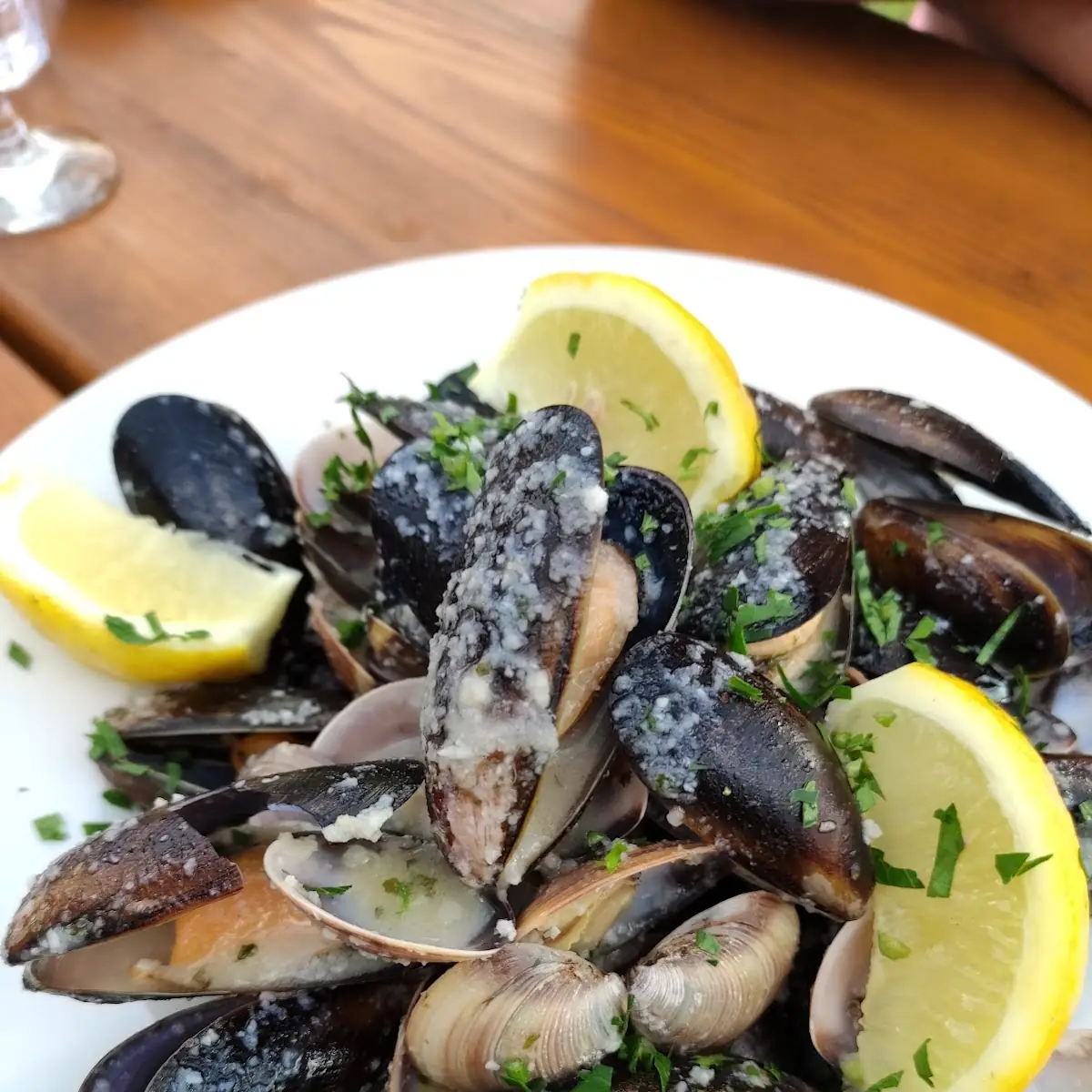 Miesmuscheln