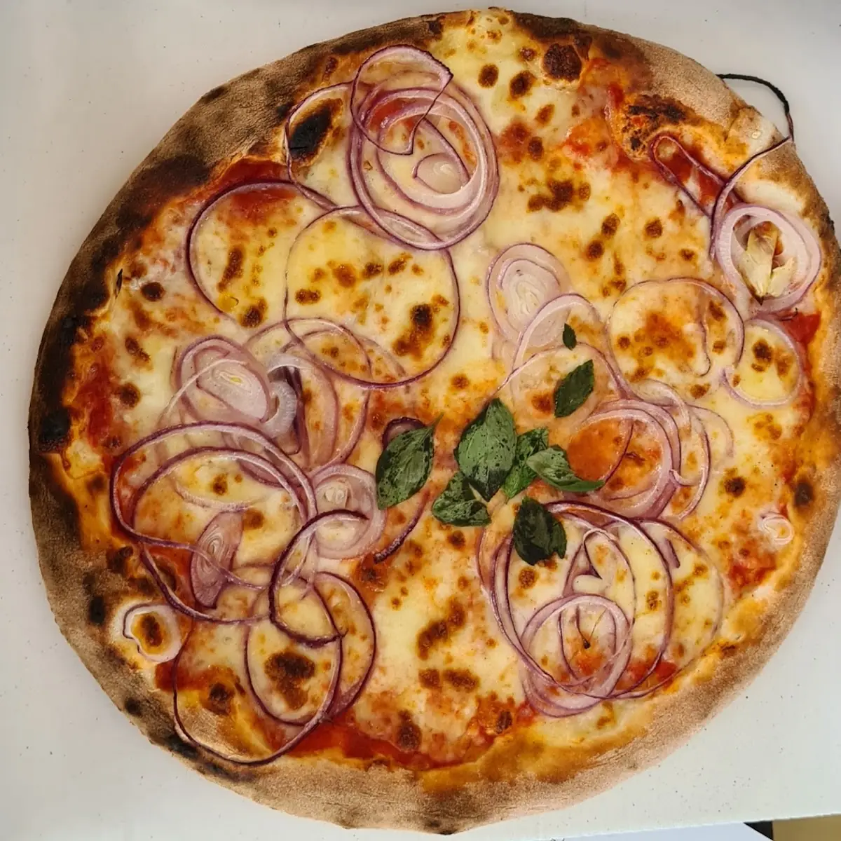 Pizza Margarita with Onions