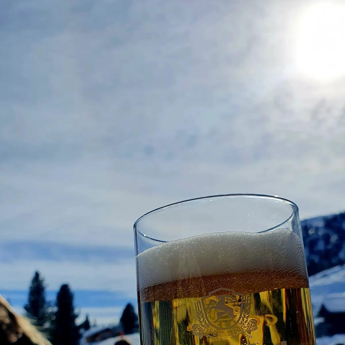 Bier